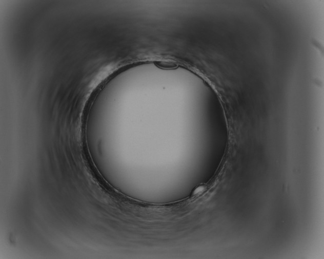 X0000091880008200709191206