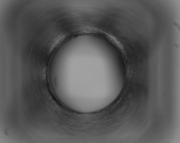 X0000091880010200709191206