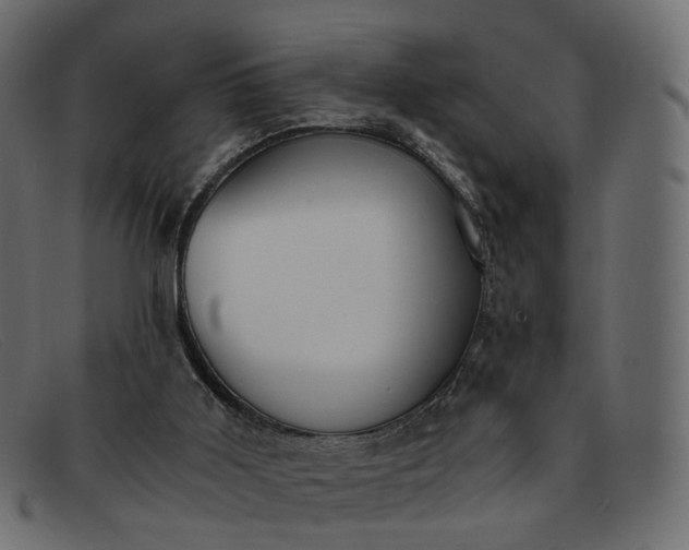 X0000091880011200709191206