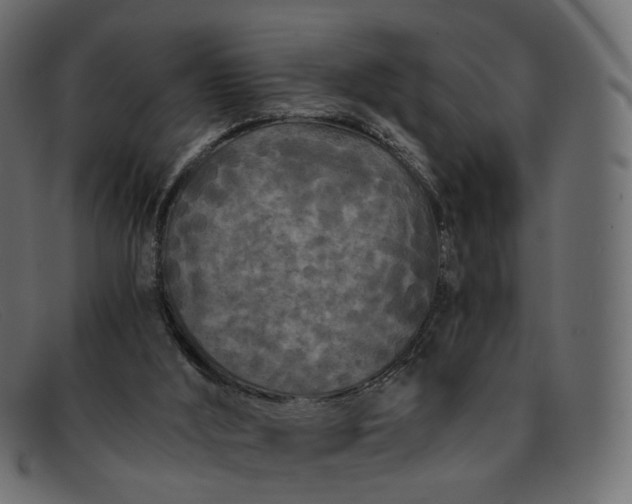 X0000091880012200709191206