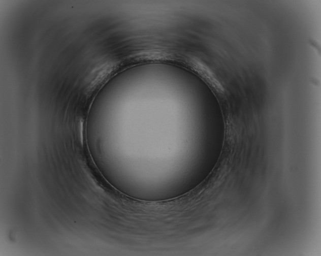 X0000091880014200709191206