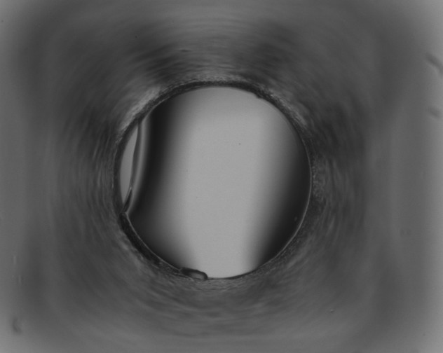 X0000091880015200709191206