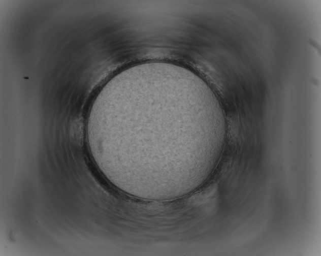 X0000091880016200709191206