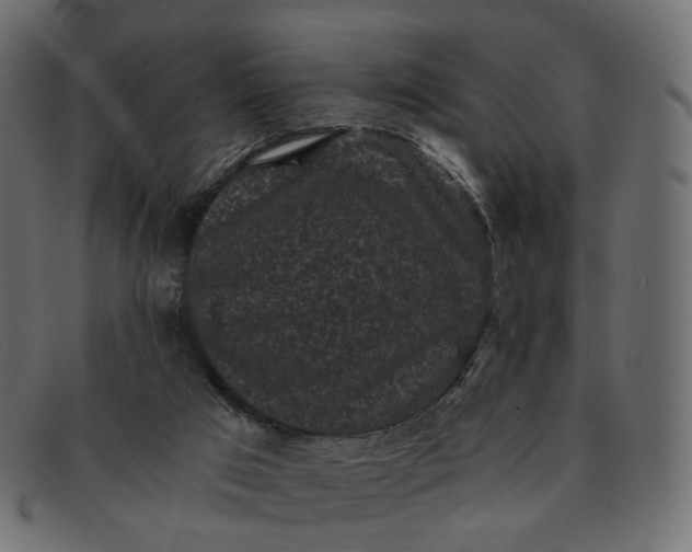 X0000091880017200709191206