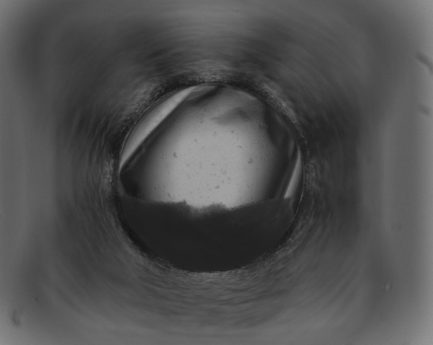 X0000091880018200709191206