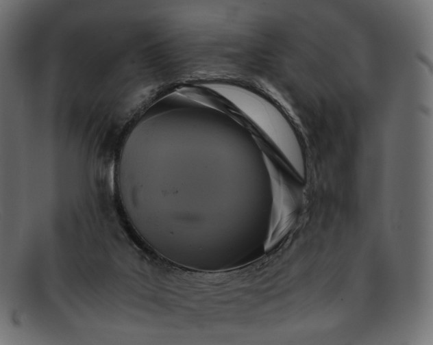 X0000091880019200709191206