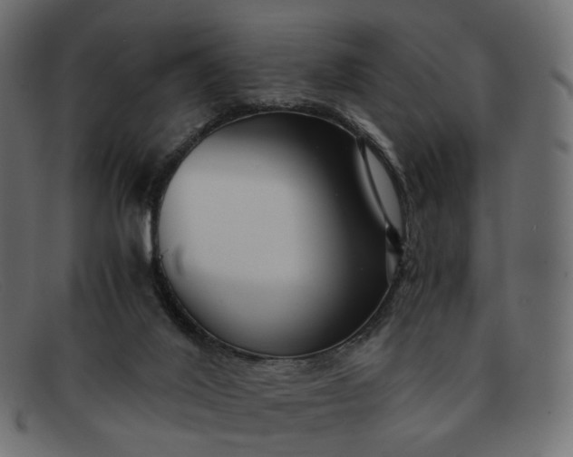 X0000091880020200709191206