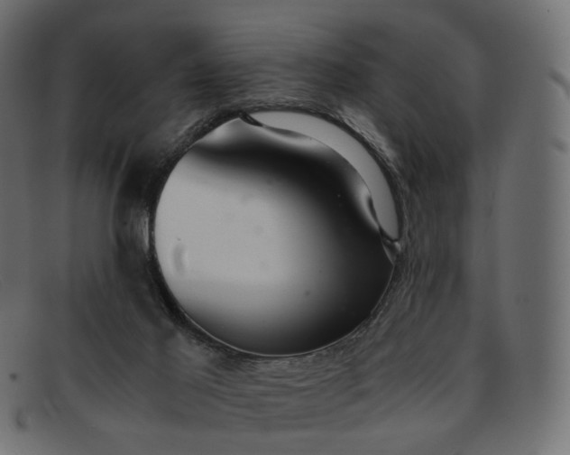 X0000091880021200709191206