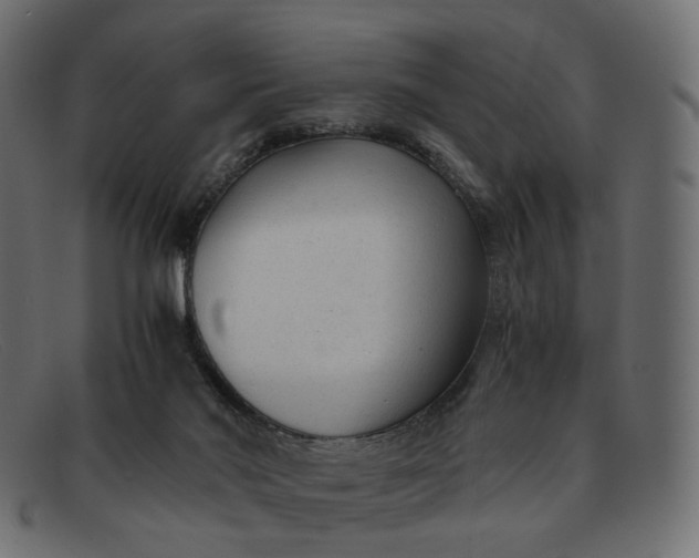 X0000091880022200709191206