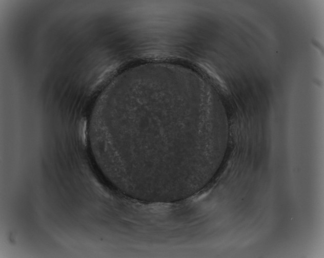 X0000091880024200709191206