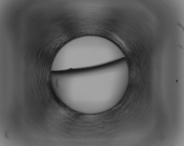 X0000091880025200709191206