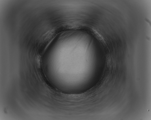 X0000091880026200709191206