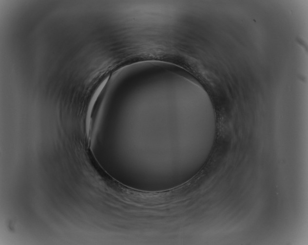 X0000091880027200709191206