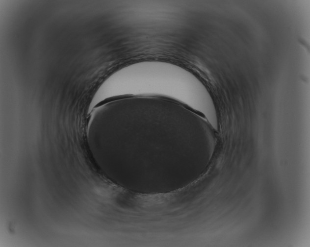 X0000091880029200709191205