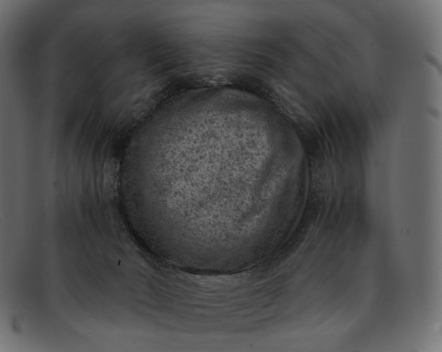 X0000091880030200709191205