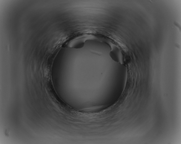 X0000091880031200709191205