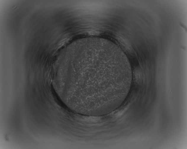 X0000091880032200709191205