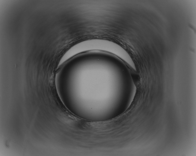 X0000091880033200709191205