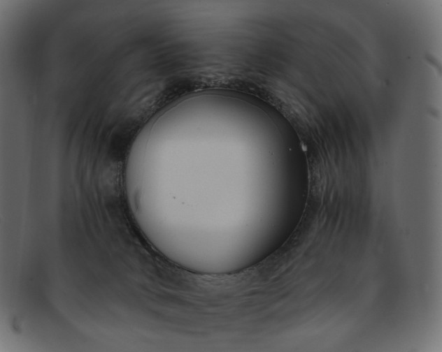 X0000091880034200709191205