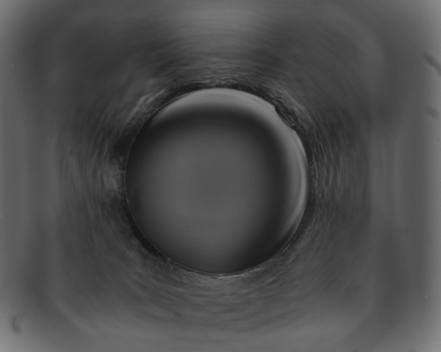 X0000091880035200709191205