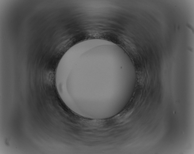 X0000091880036200709191205