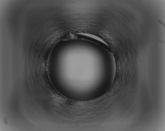 X0000091880037200709191205