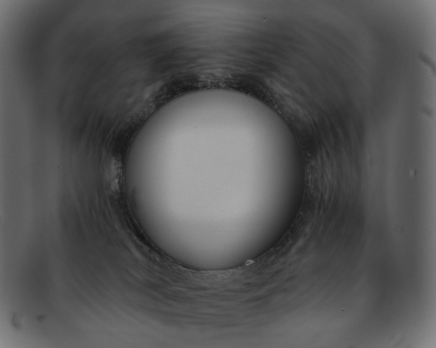 X0000091880038200709191205