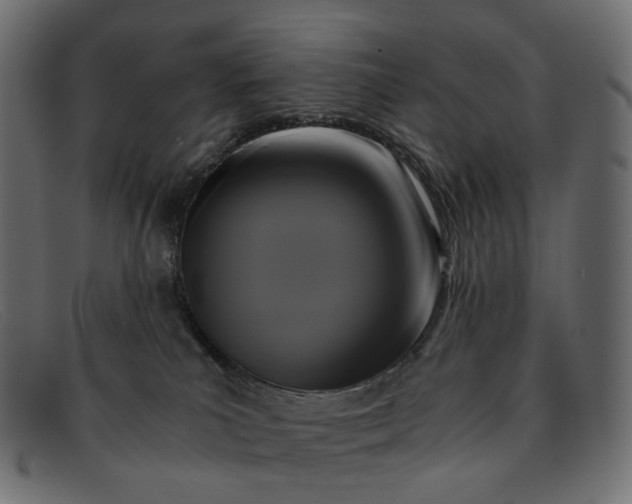 X0000091880039200709191205