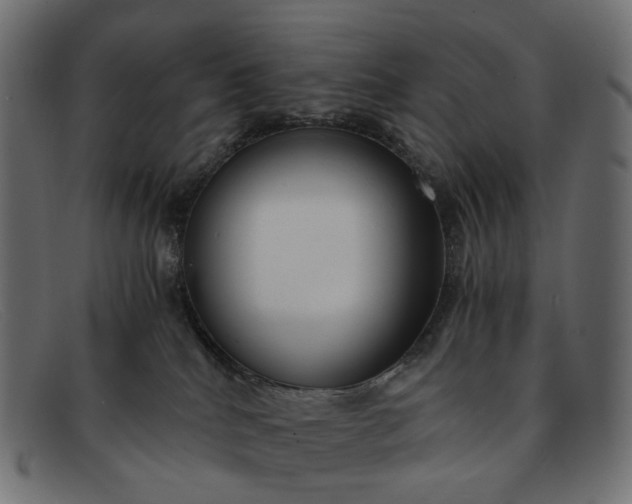 X0000091880040200709191205