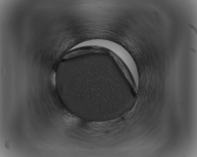 X0000091880041200709191205