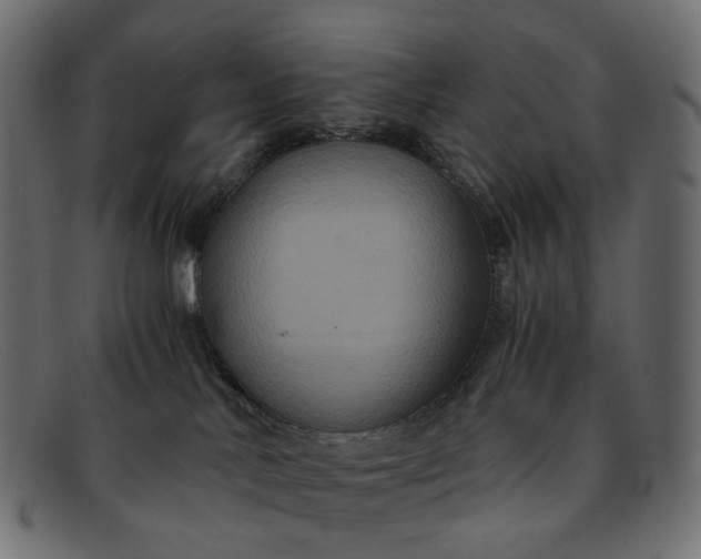 X0000091880042200709191205