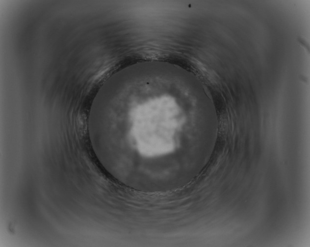 X0000091880043200709191205