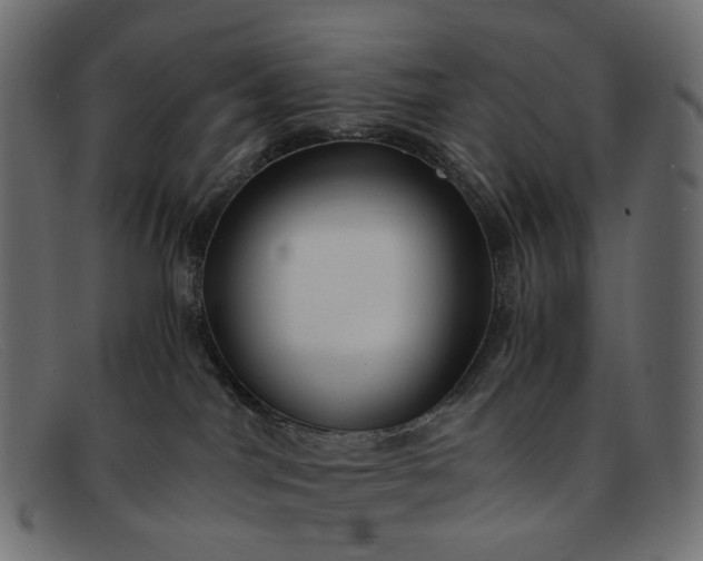 X0000091880044200709191205