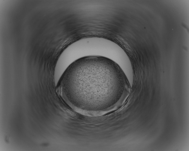 X0000091880045200709191205