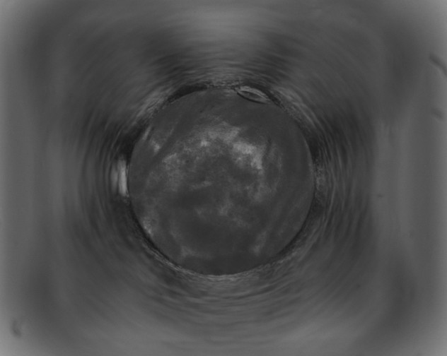 X0000091880046200709191205