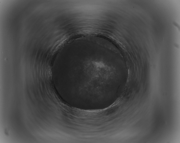 X0000091880048200709191205