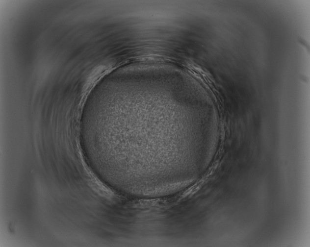 X0000091880049200709191205