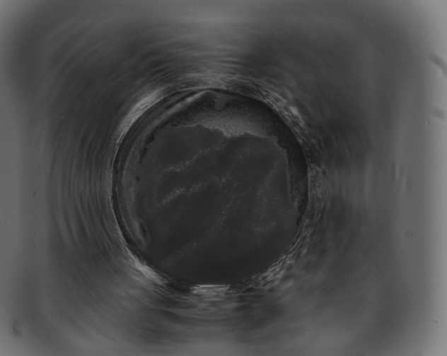 X0000091880051200709191205