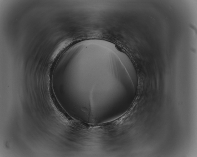 X0000091880054200709191205