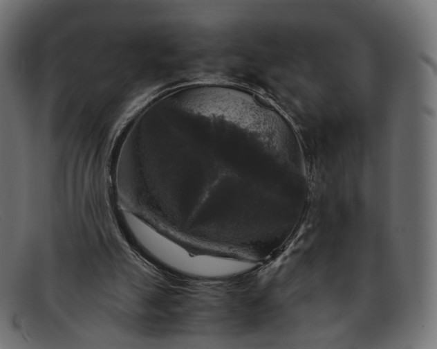 X0000091880055200709191205