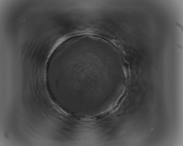 X0000091880056200709191205