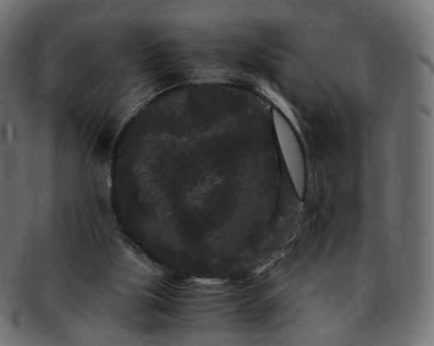 X0000091880059200709191205