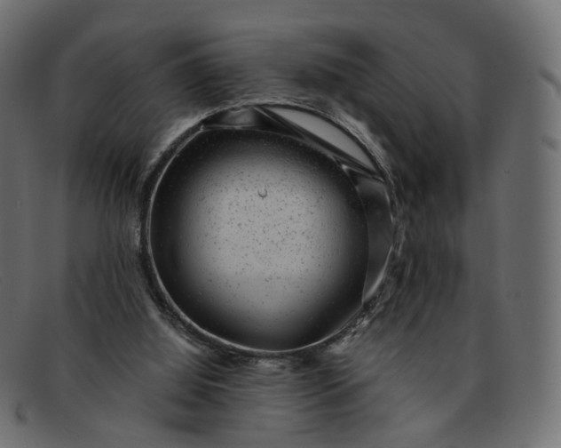 X0000091880060200709191205