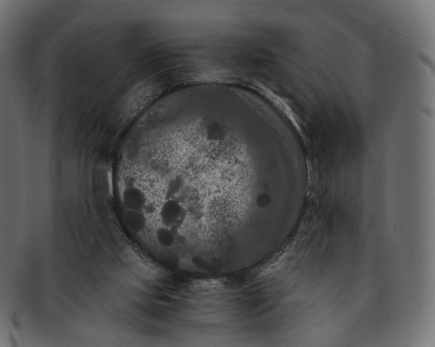 X0000091880061200709191205