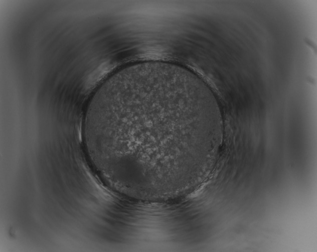 X0000091880062200709191205