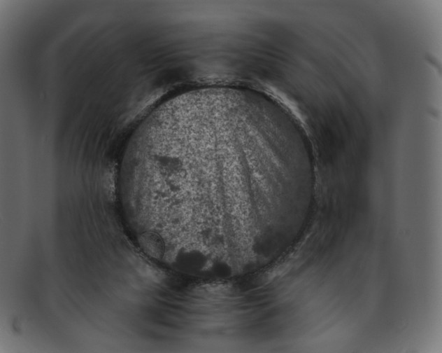 X0000091880065200709191205