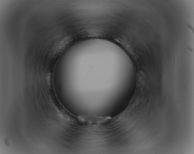 X0000091880066200709191205