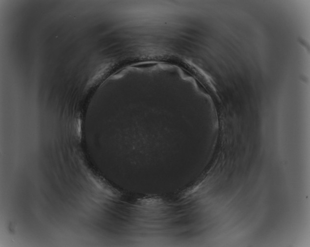 X0000091880067200709191205