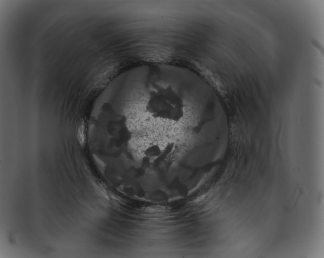 X0000091880069200709191205