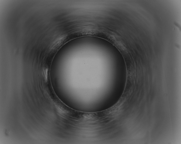 X0000091880070200709191205